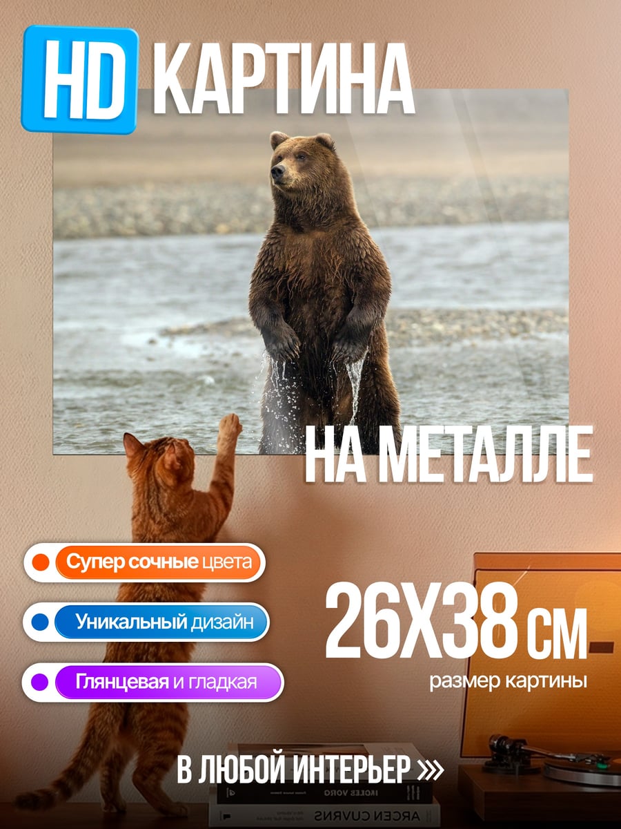Картина на металле стоящий медведь река