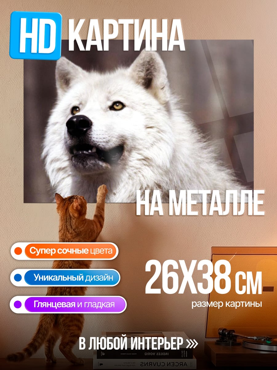 Картина на металле Белый волк