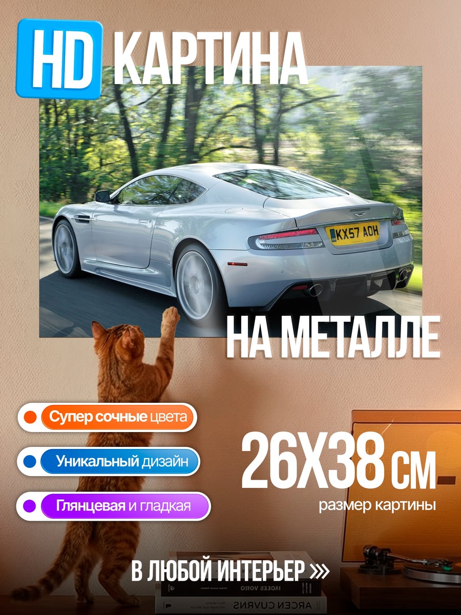 Картина на металле Серебристый спорткар
