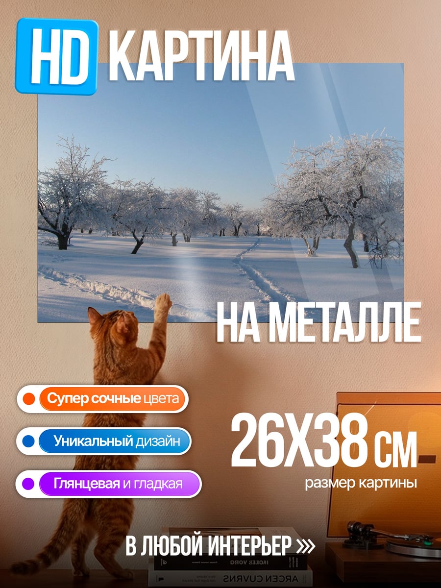 Картина на металле Зимний сад