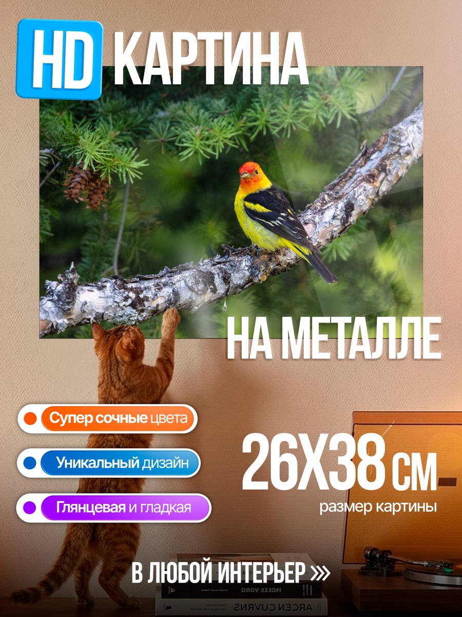 Картина на металле Яркая птица на ветке