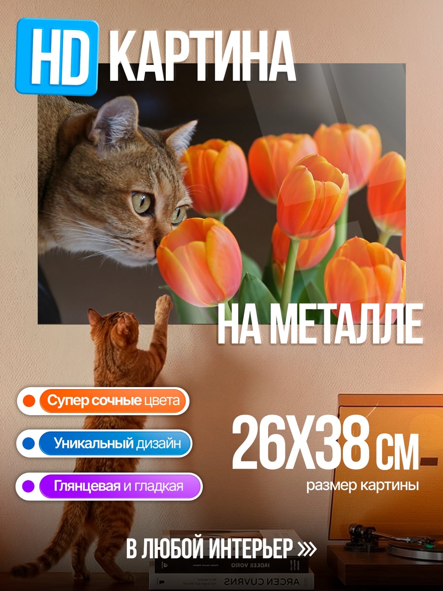 Картина на металле Кот и тюльпаны