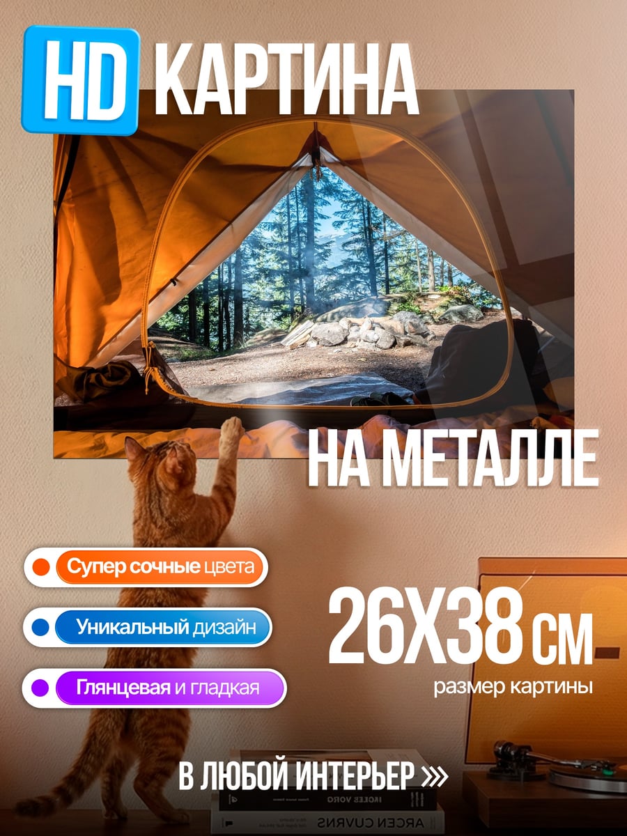Картина на металле вид из палатки