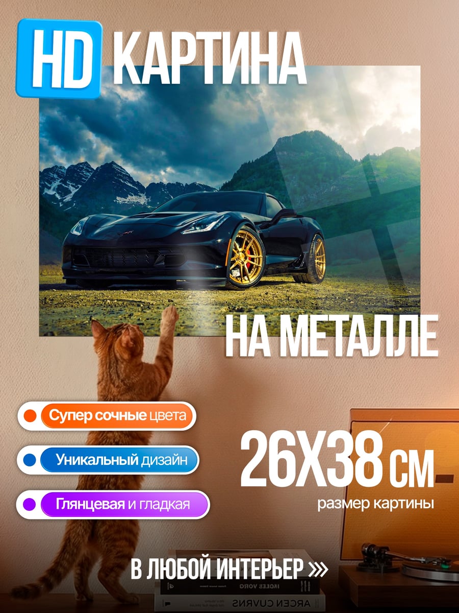 Картина на металле Черный спорткар в горах
