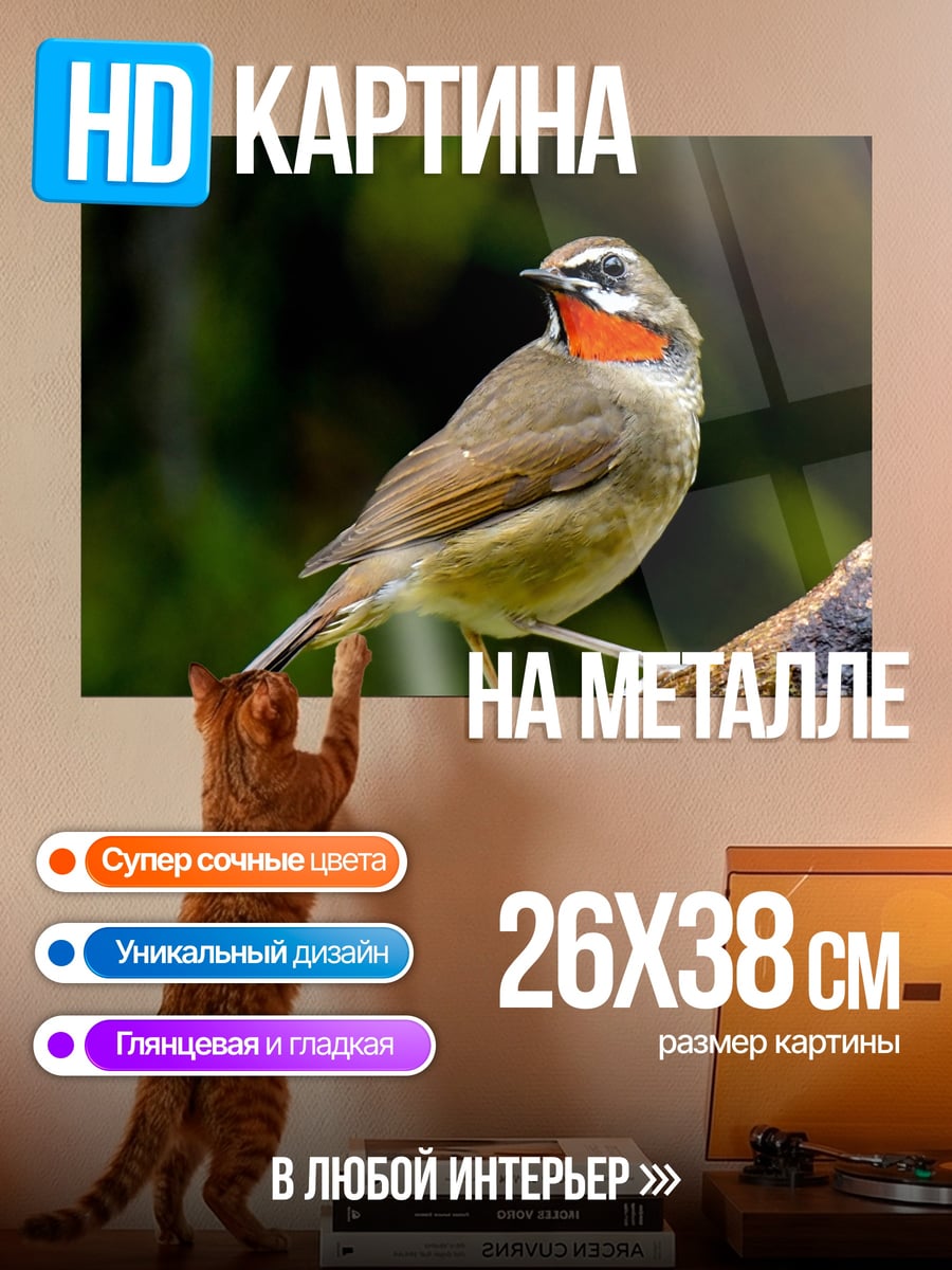 Картина на металле Птица с красным горлом