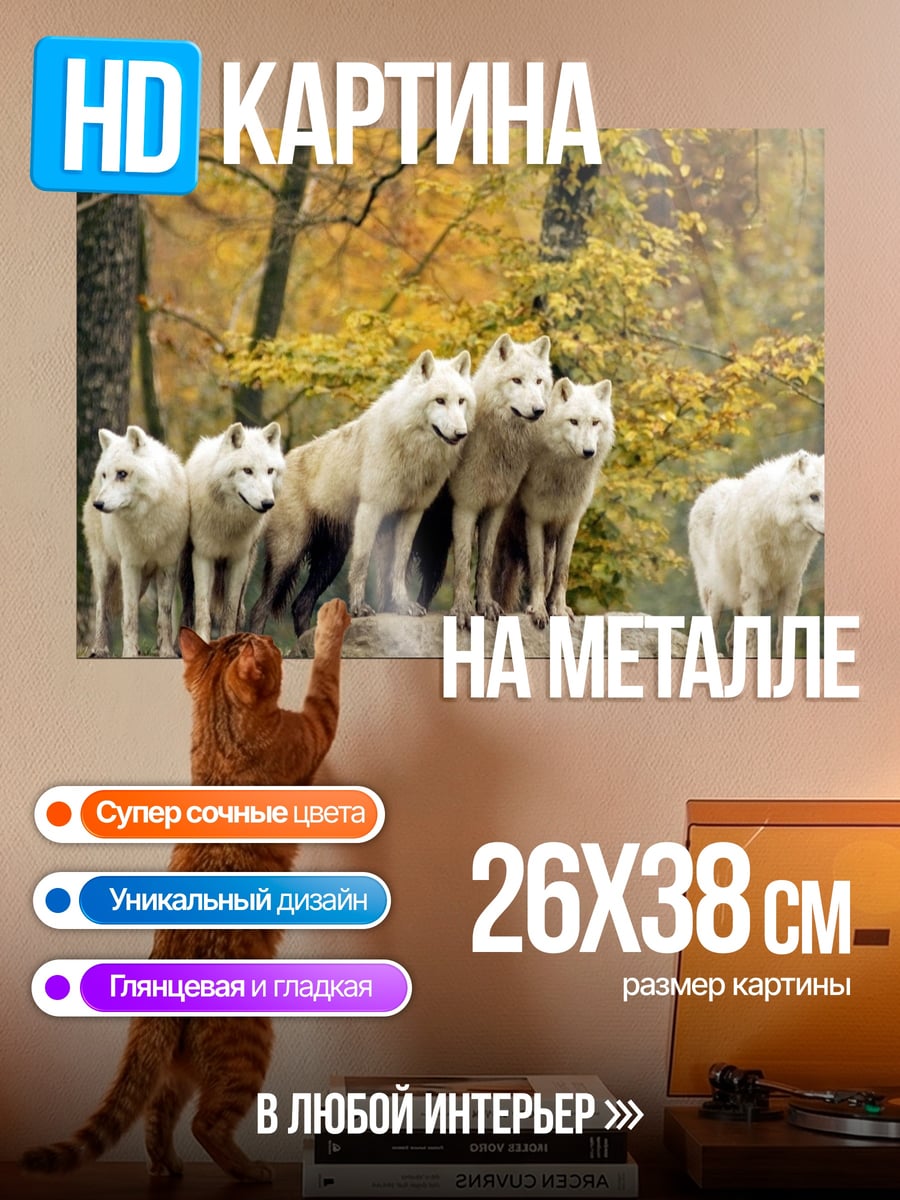 Картина на металле Стая белых волков