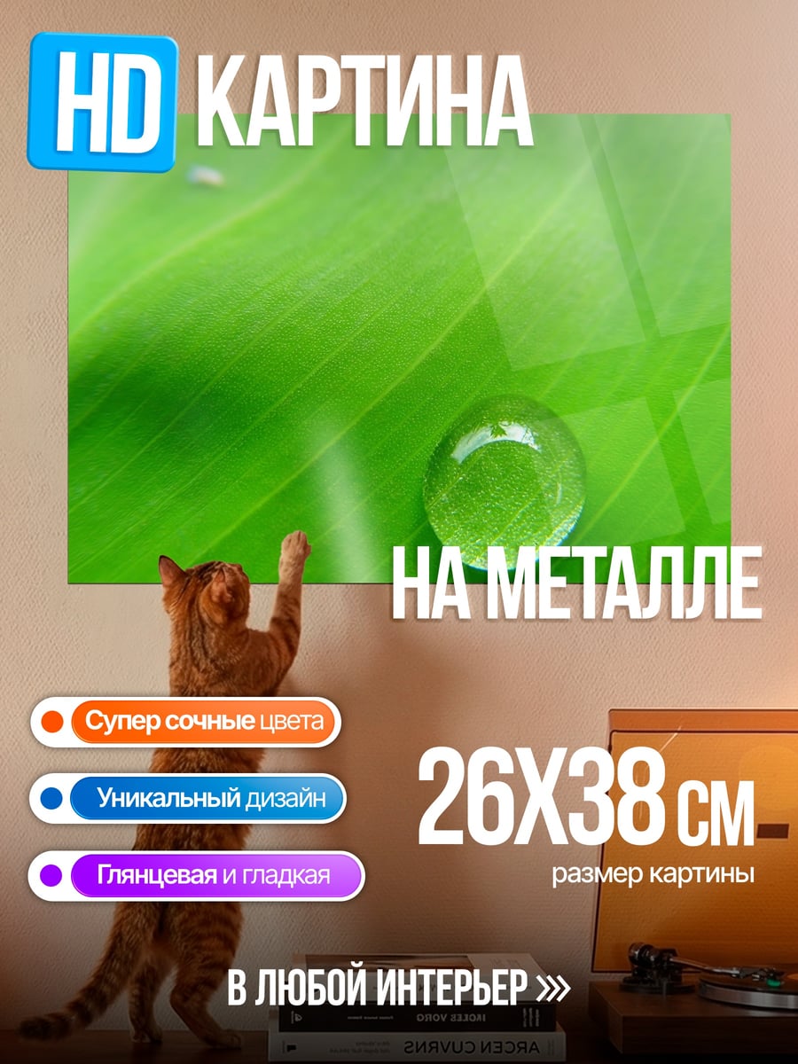 Картина на металле Капля на листе