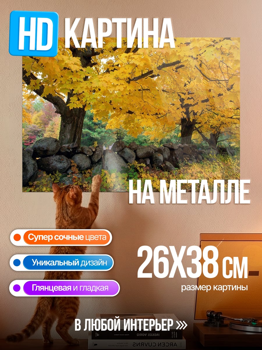 Картина на металле Осенние деревья стена