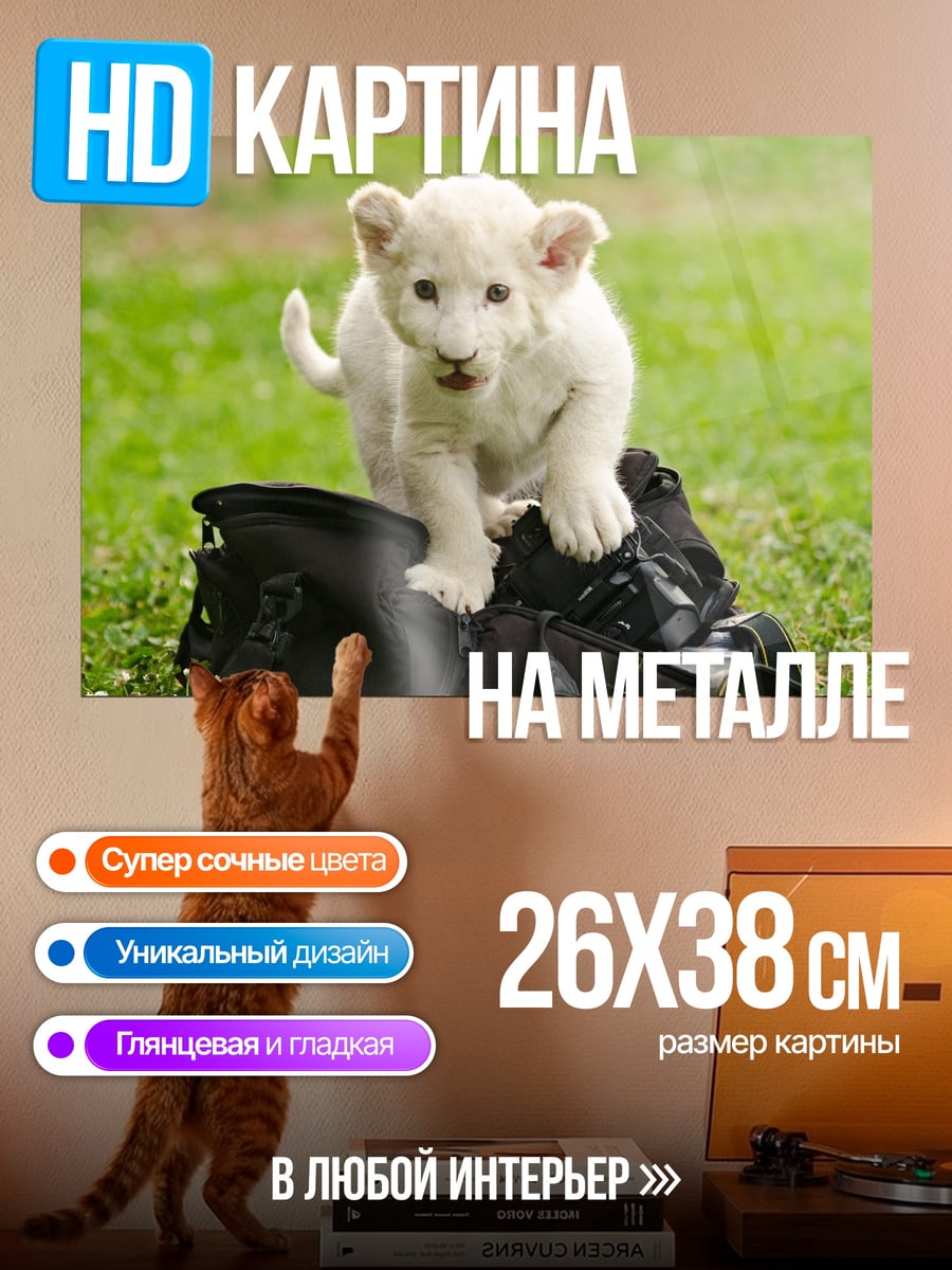 Картина на металле Белый львенок играет