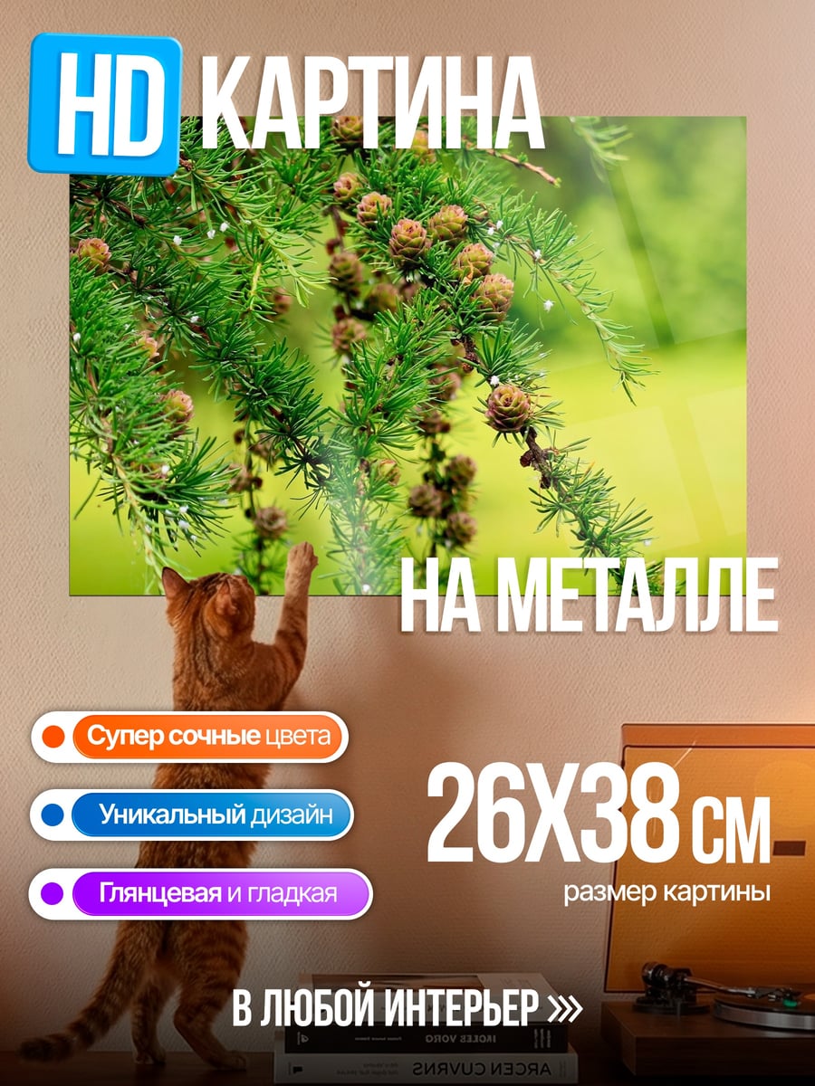 Картина на металле Ветки ели с шишками
