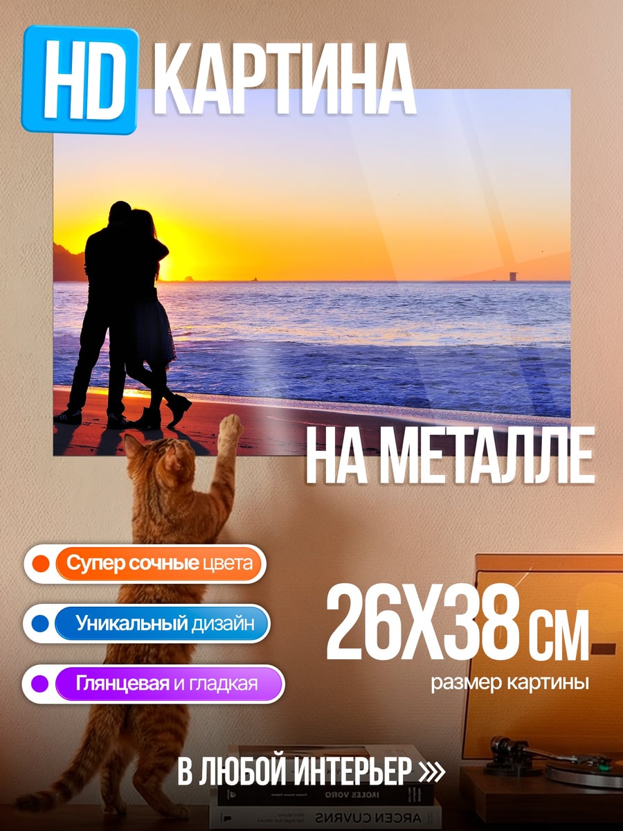 Картина на металле Пара на закате