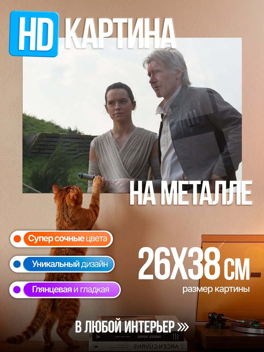 Картина на металле Хан Соло и Рей
