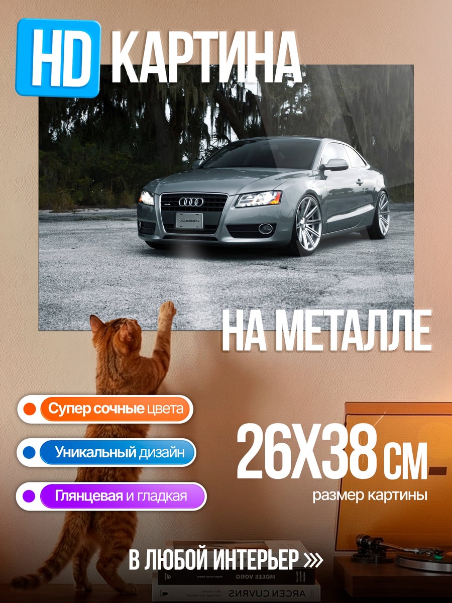 Картина на металле Серебристый Audi