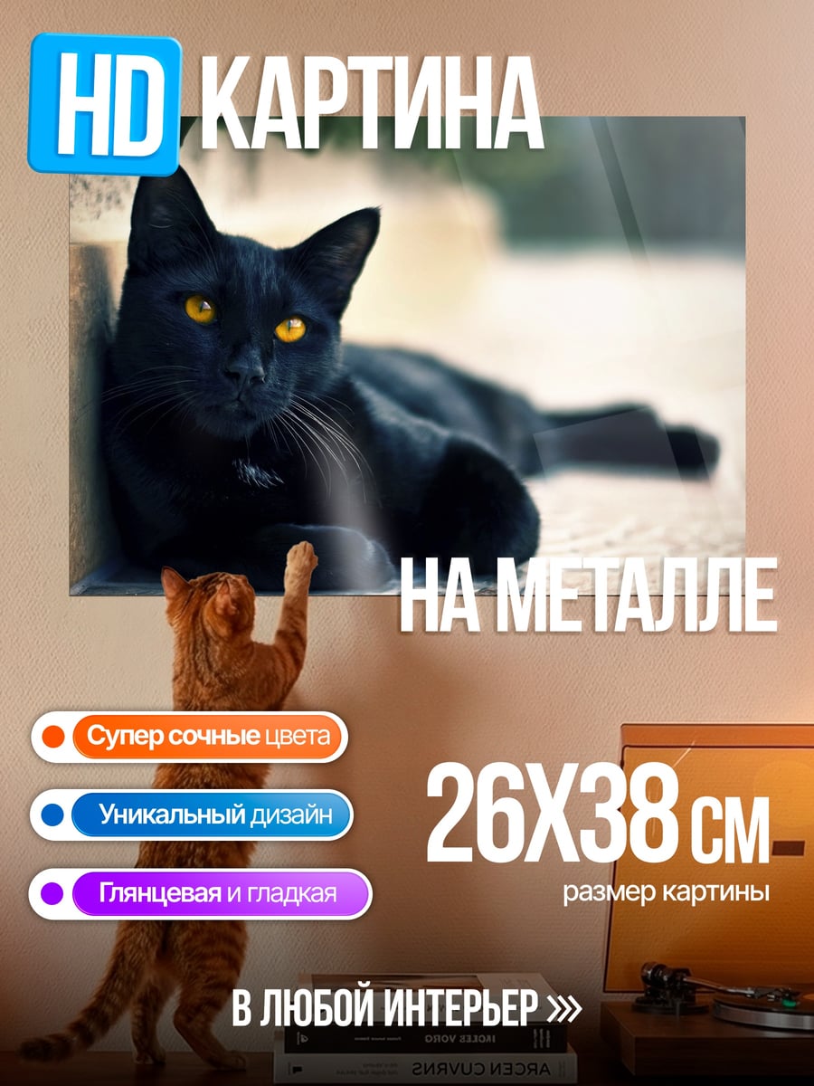 Картина на металле Черный кот