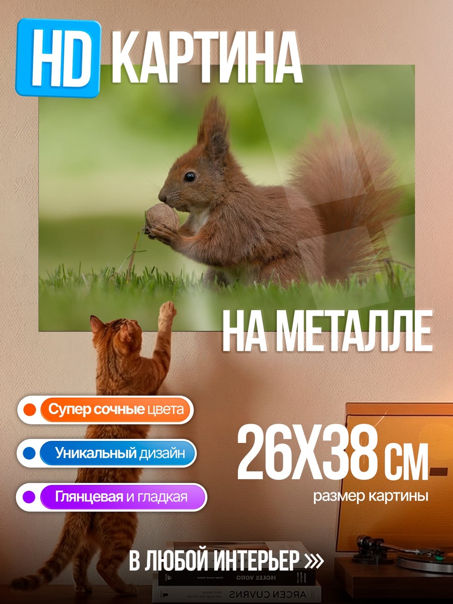 Картина на металле Рыжая белка ест