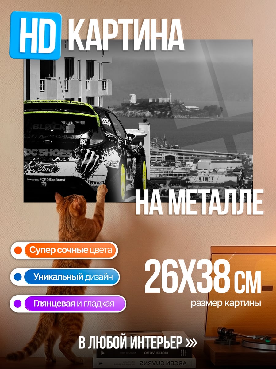 Картина на металле гоночная машина Сан-Франциско