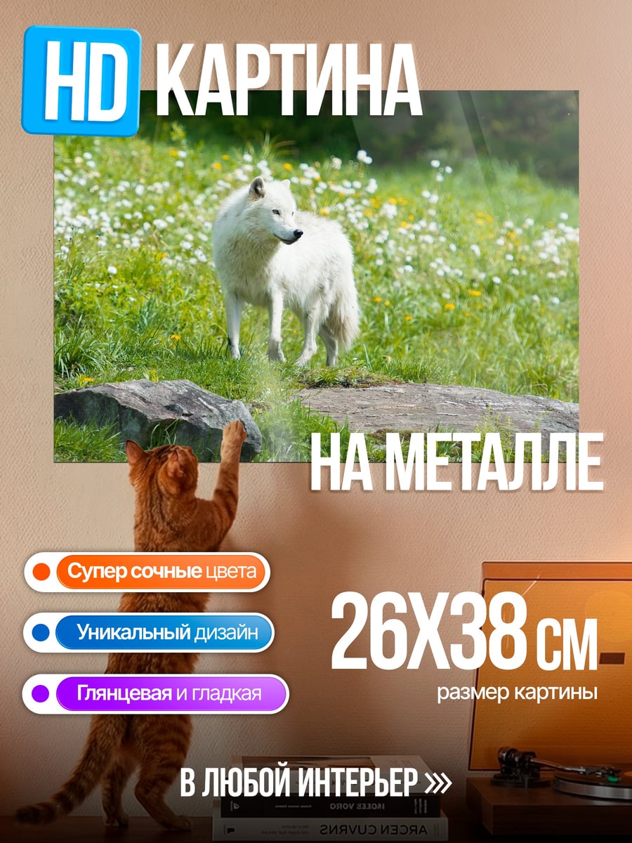 Картина на металле Белый волк на лугу