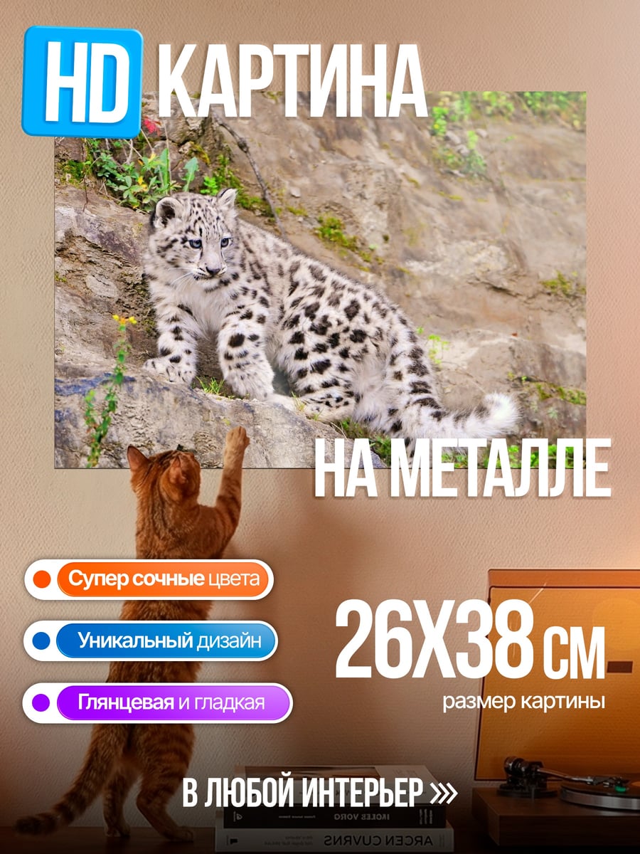 Картина на металле снежный барс