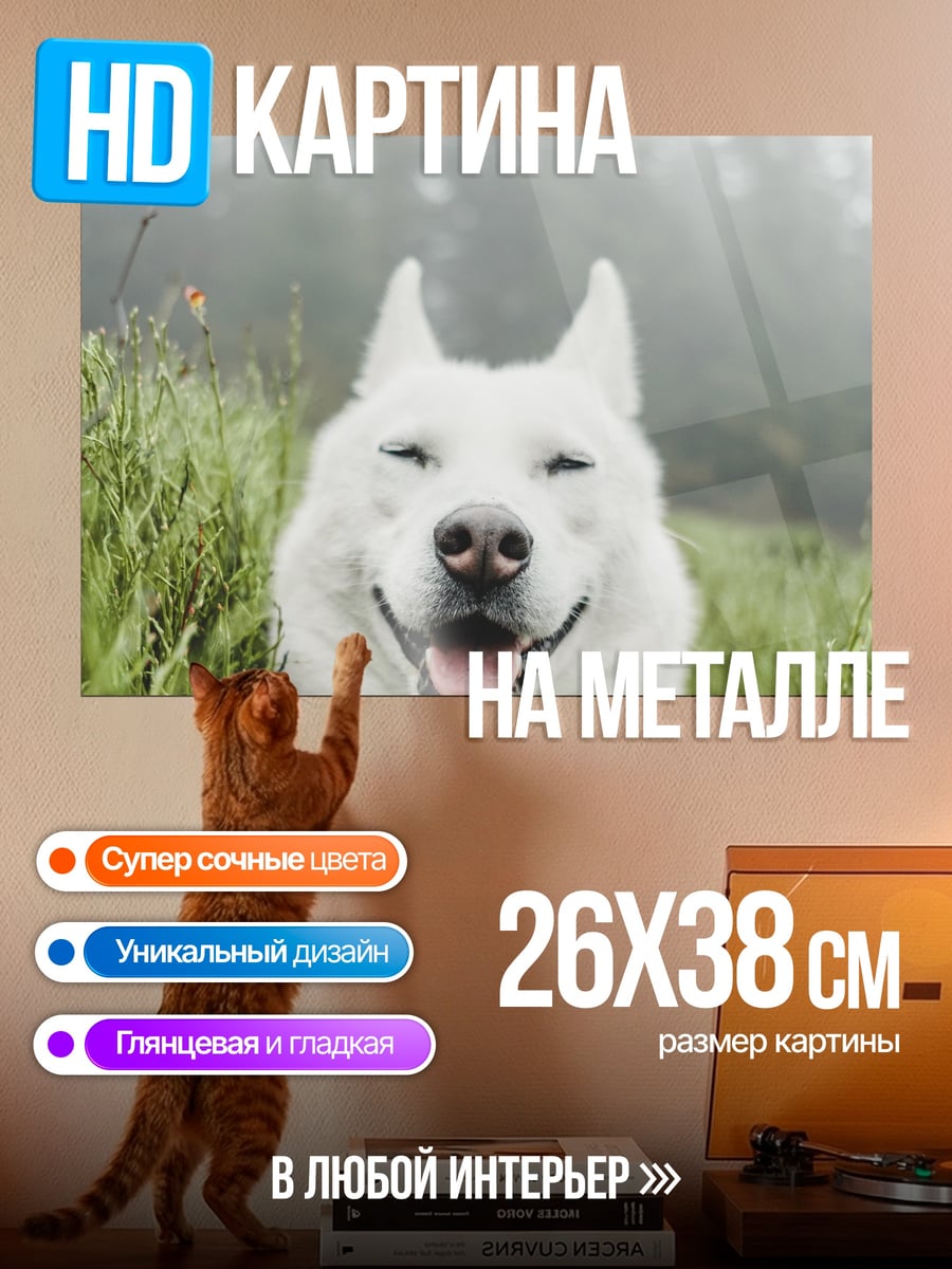 Картина на металле счастливый белый пес
