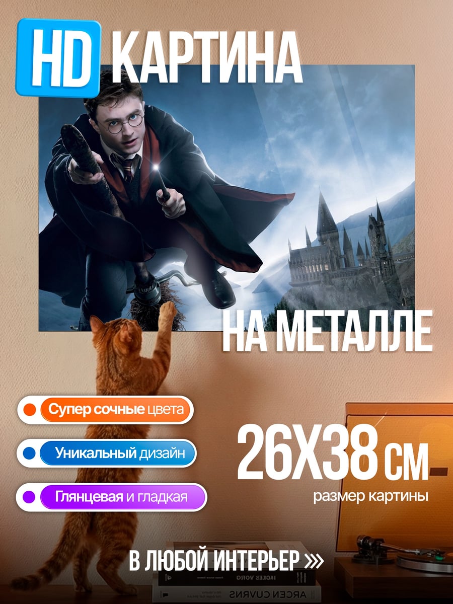 Картина на металле Гарри Поттер полёт