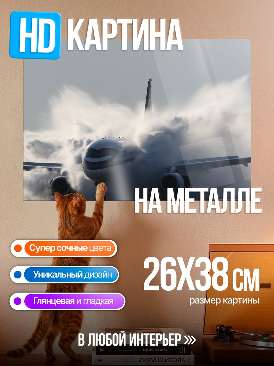Картина на металле Самолёт водяной душ