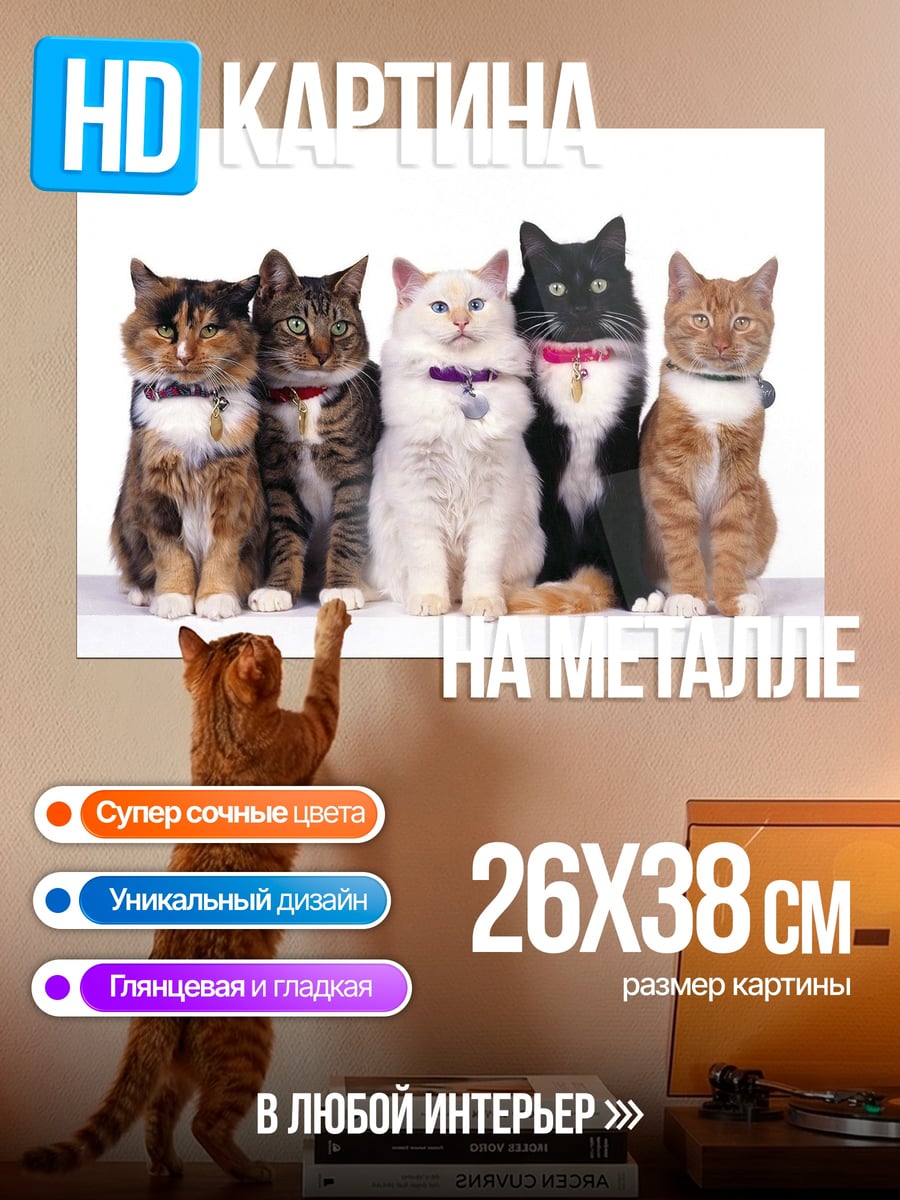 Картина на металле пять кошек