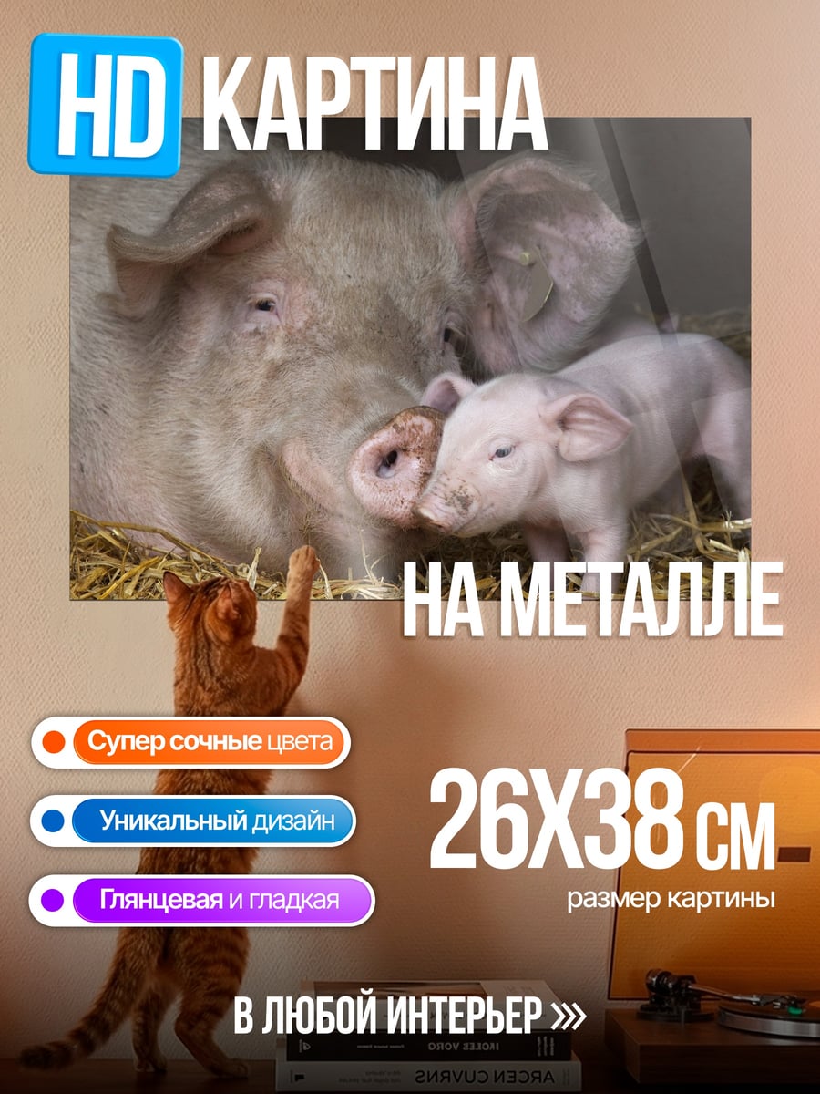 Картина на металле Мама свинья