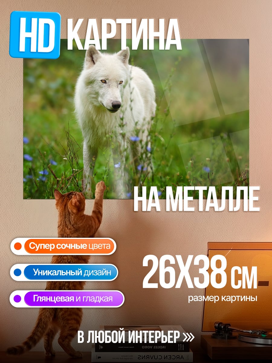Картина на металле Белый волк