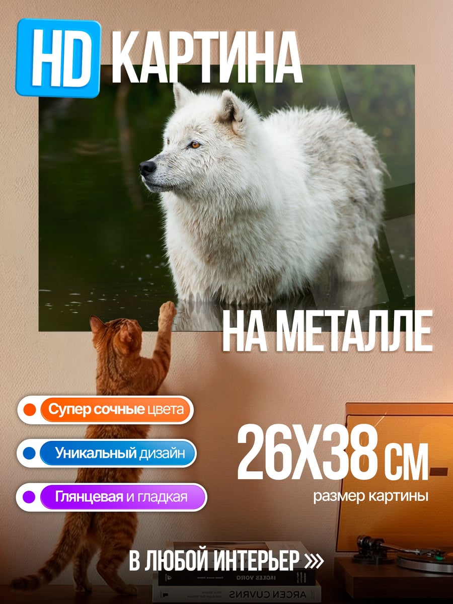 Картина на металле Белый волк
