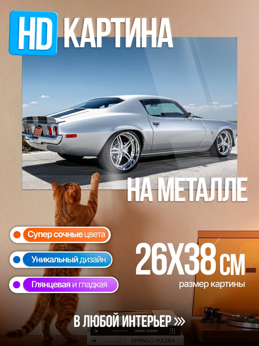Картина на металле классический камаро сзади