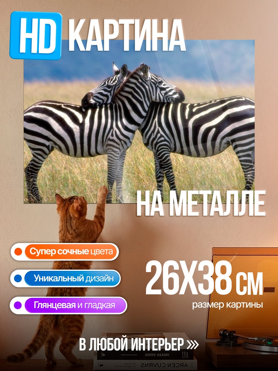 Картина на металле Две зебры вместе