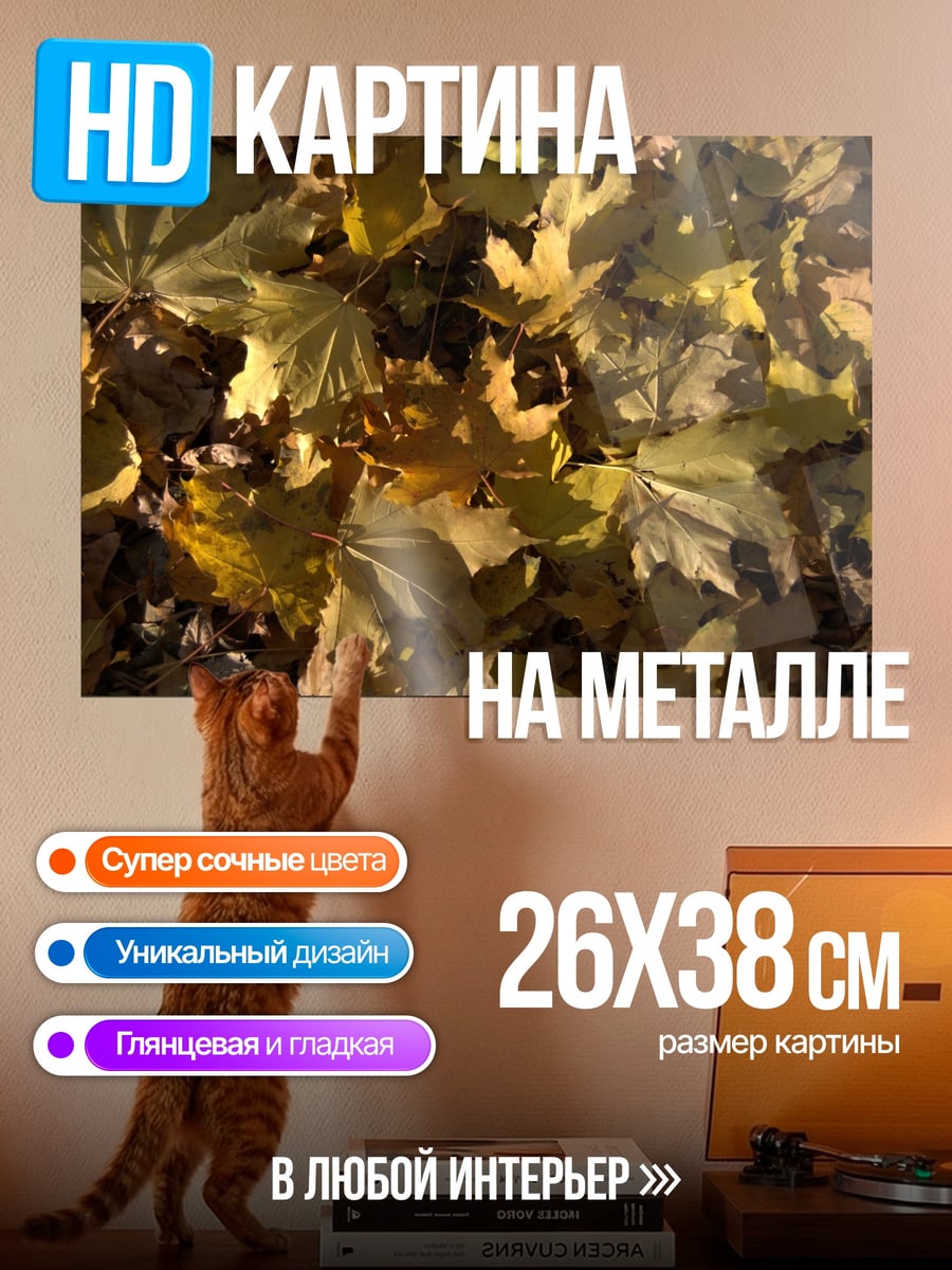 Картина на металле Осенние листья клёна