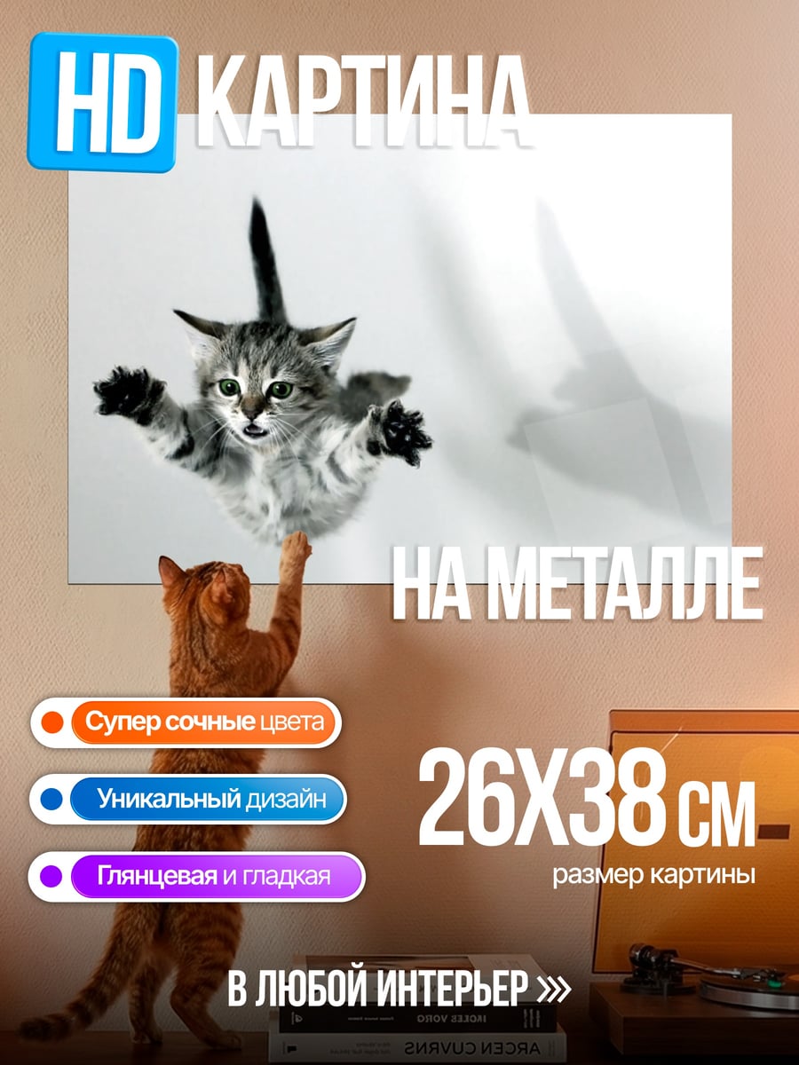 Картина на металле Летающий котёнок