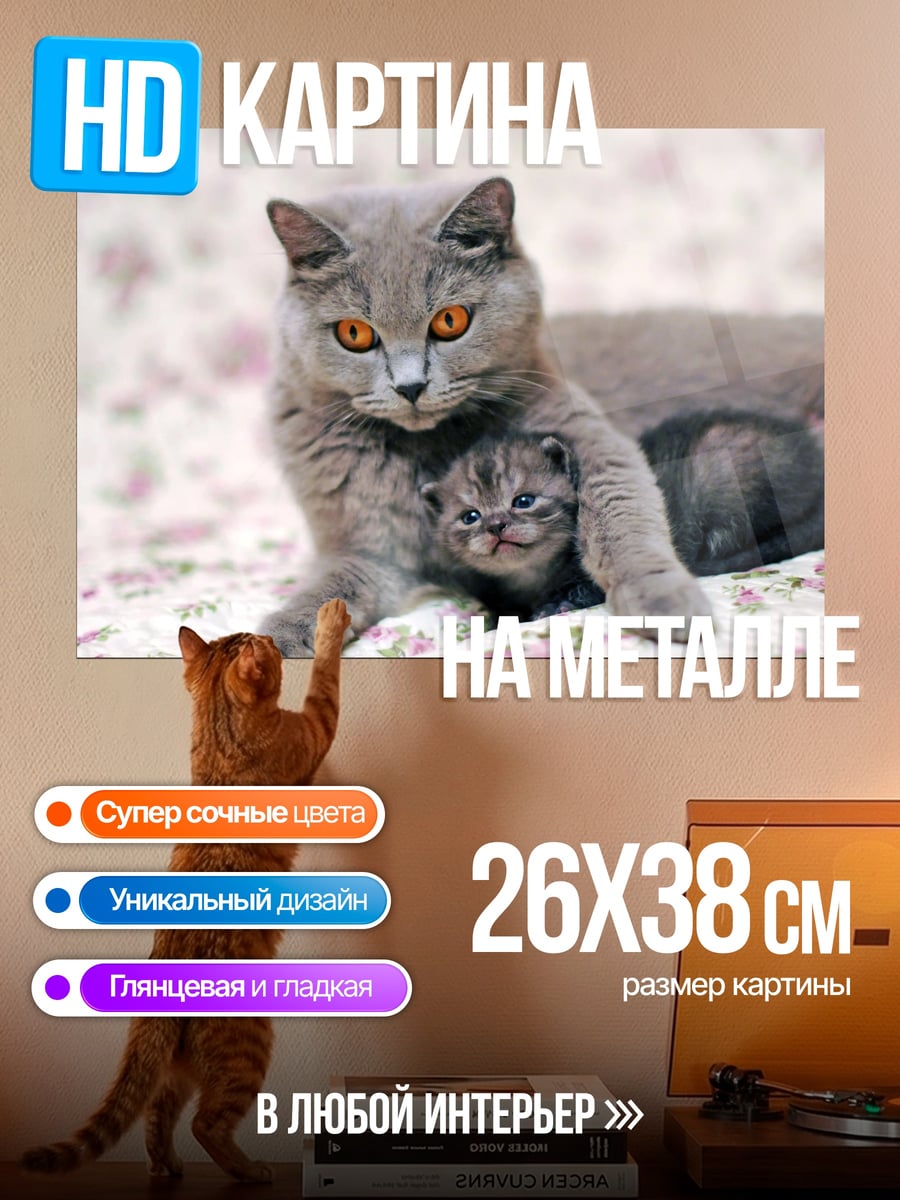 Картина на металле Мама и котенок