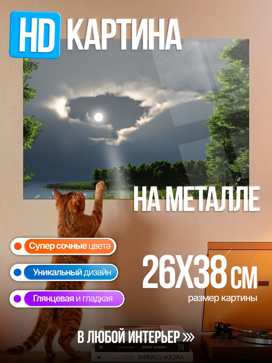 Картина на металле Летний дождь в лесу