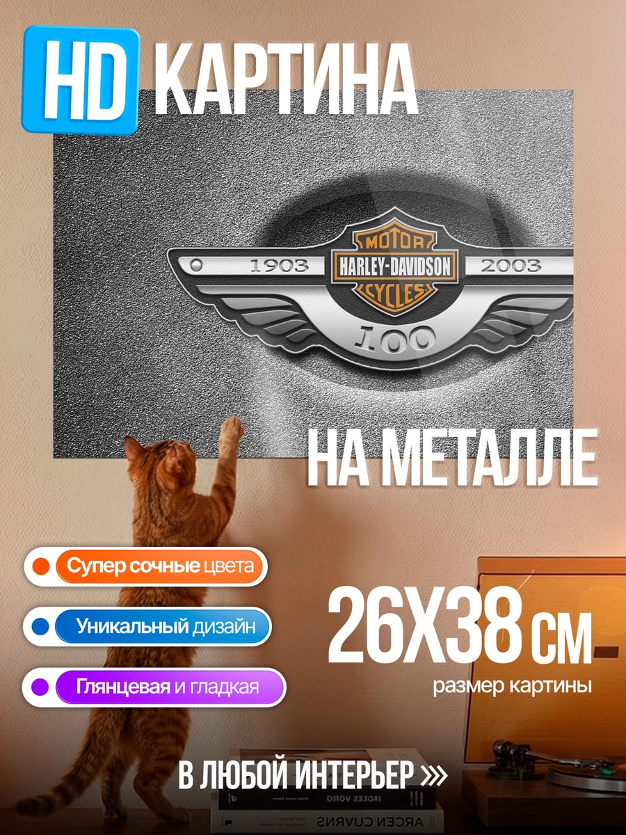 Картина на металле Harley Davidson 100