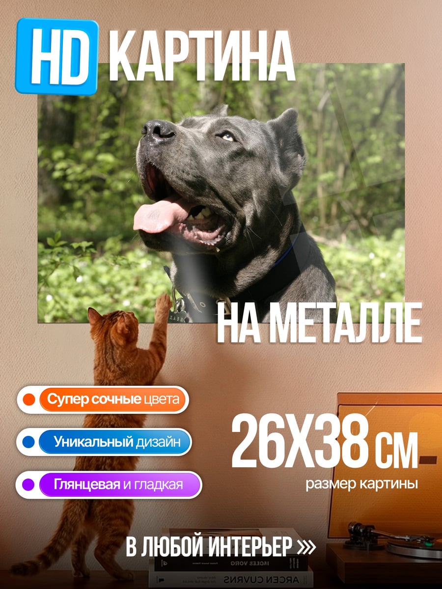 Картина на металле Кане-корсо в лесу