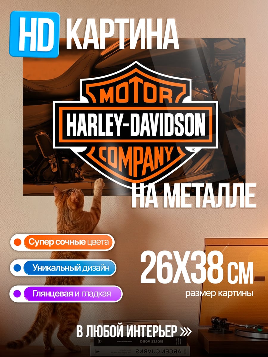 Картина на металле Логотип Harley Davidson