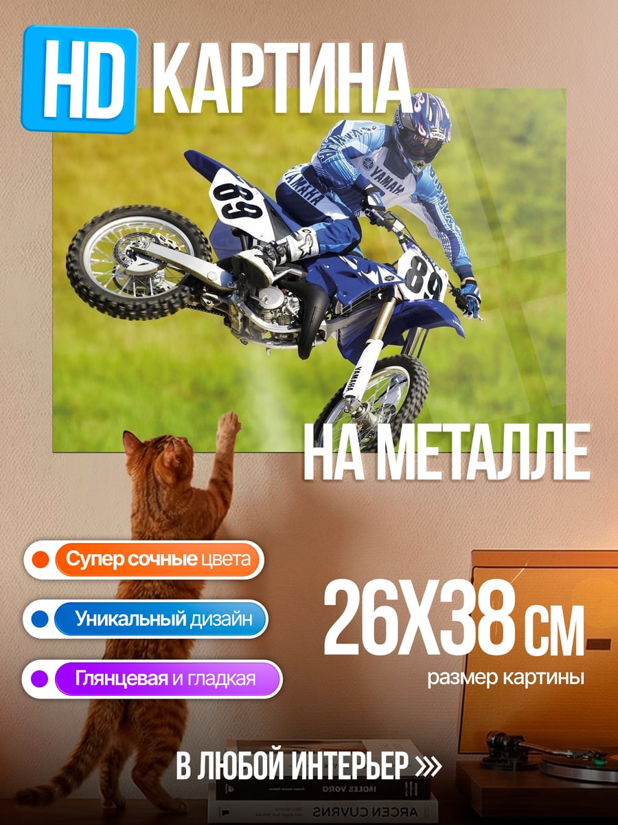 Картина на металле Мотоциклист в полете