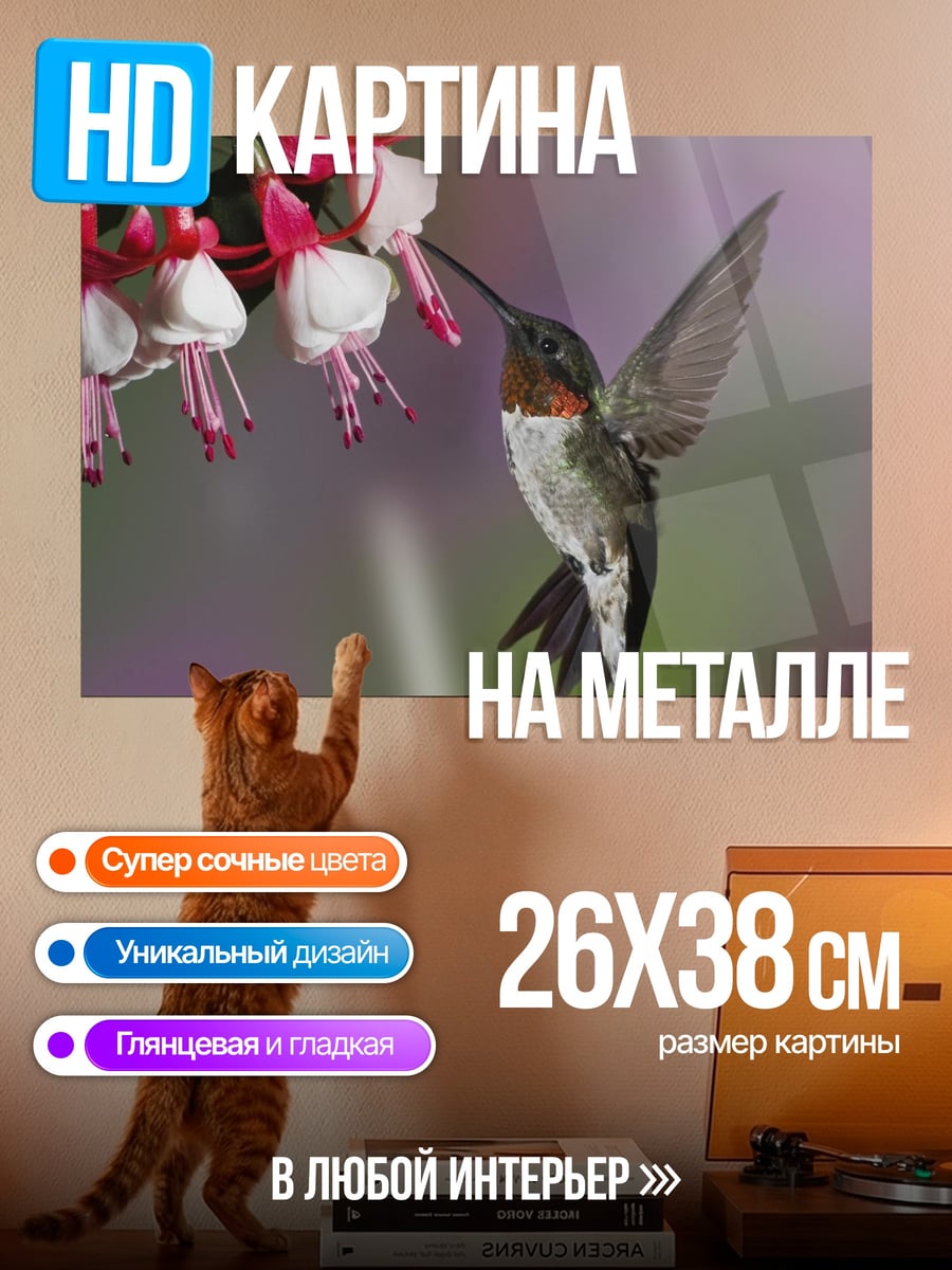 Картина на металле Колибри у цветов