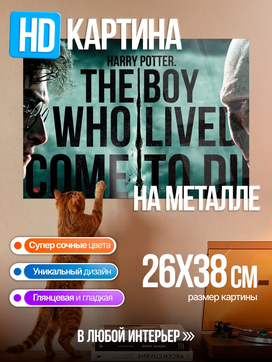 Картина на металле Гарри Поттер