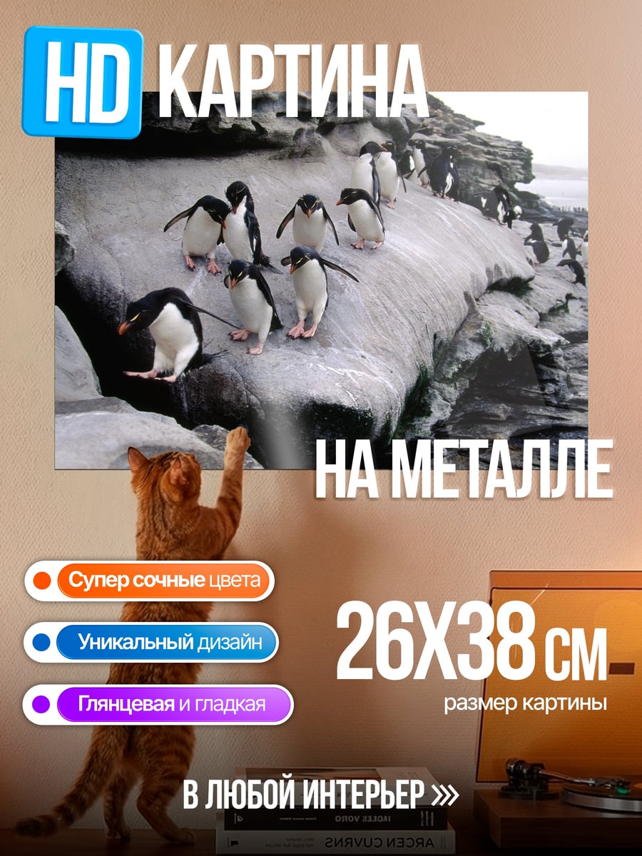 Картина на металле стая пингвинов на скале