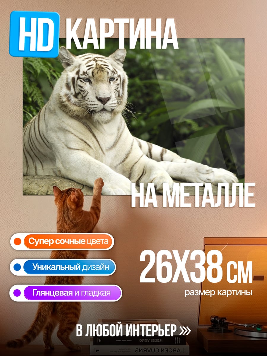 Картина на металле белый тигр лежит