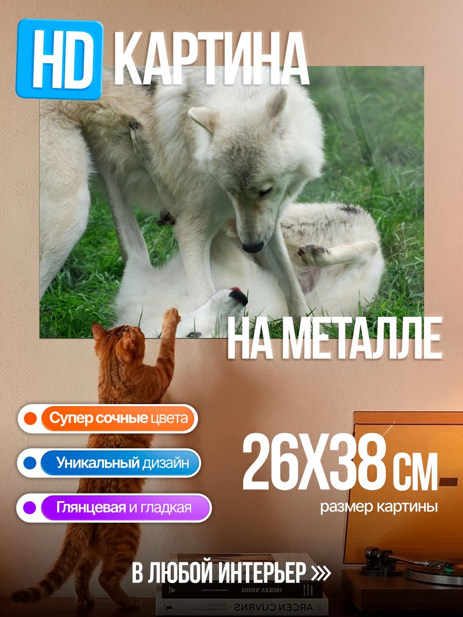 Картина на металле семья белых волков