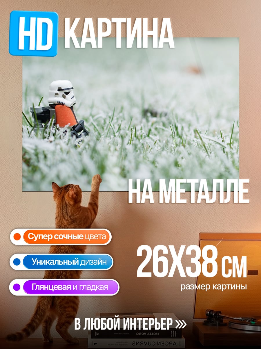 Картина на металле Штурмовик в снегу