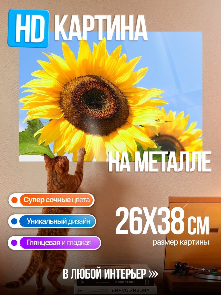 Картина на металле Два подсолнуха