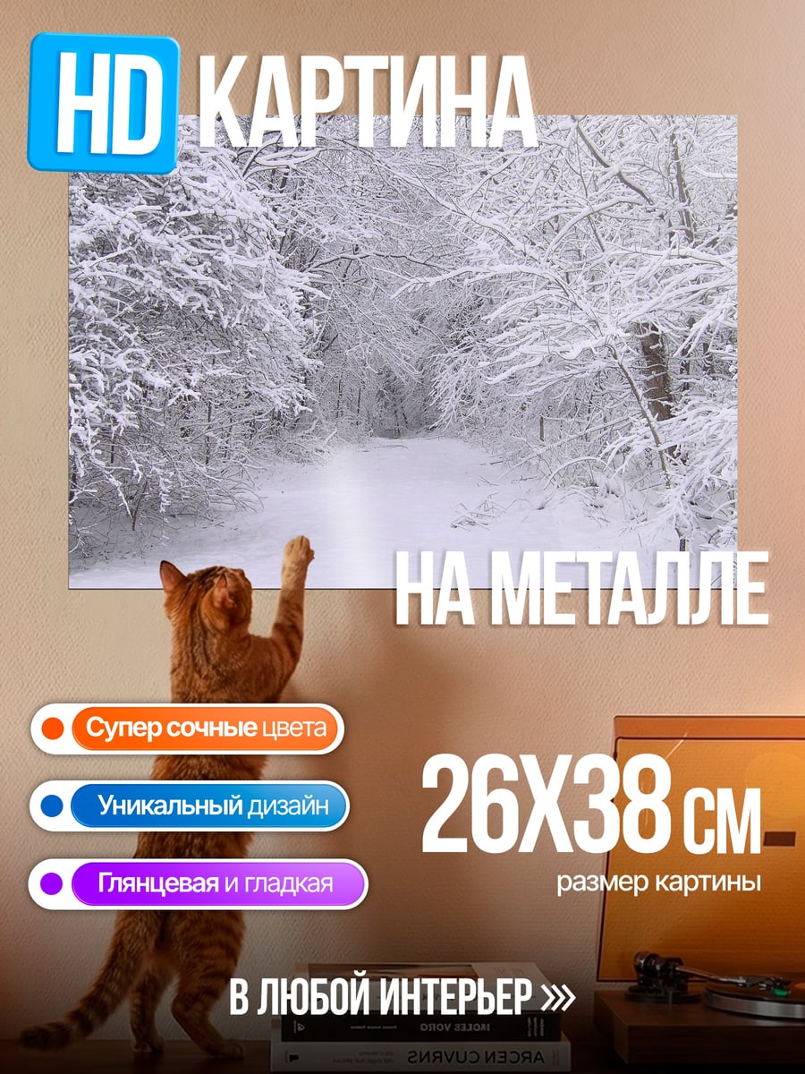 Картина на металле Зимний лес тропа