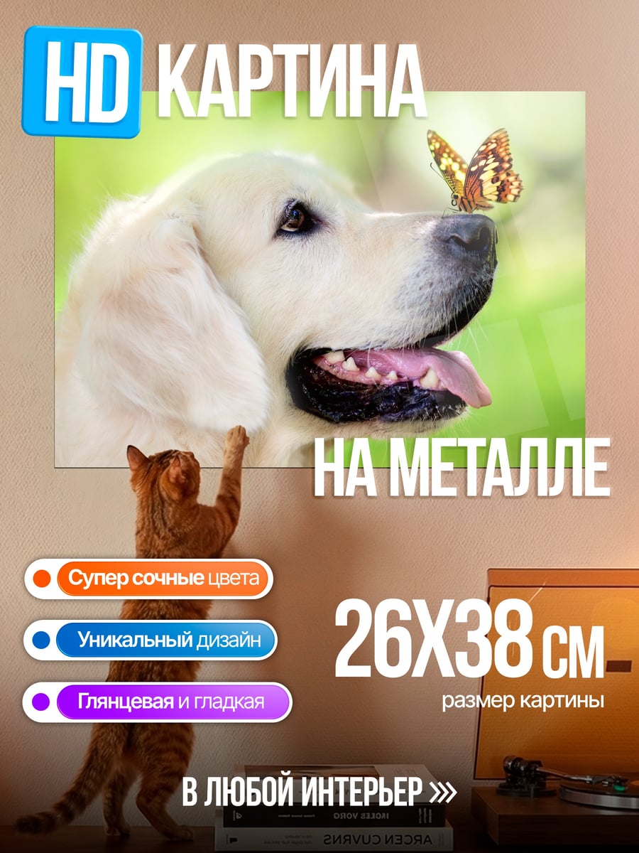 Картина на металле Собака и бабочка