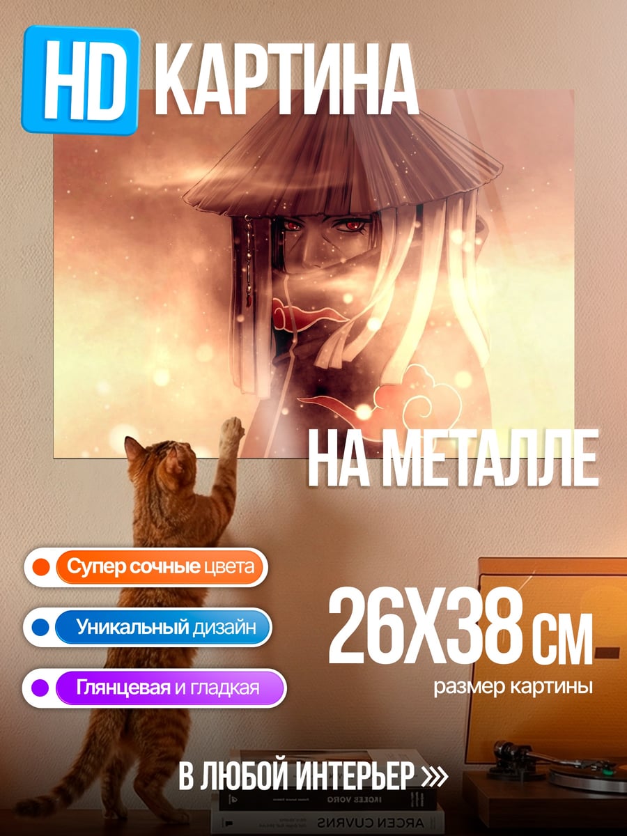 Картина на металле Аниме воин в шляпе