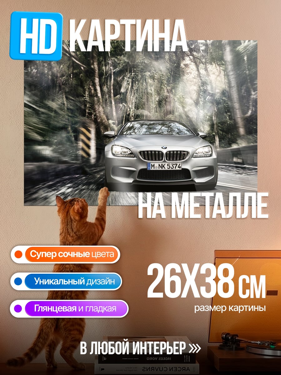 Картина на металле BMW на дороге